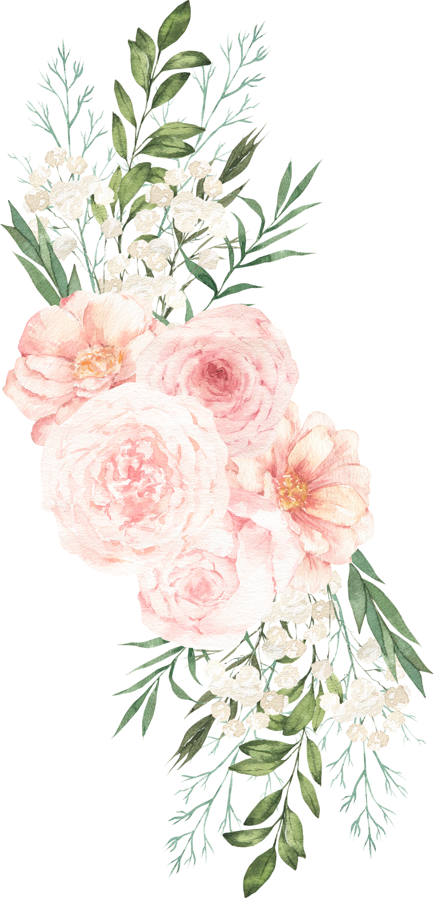 Watercolor Flowers Illustration
