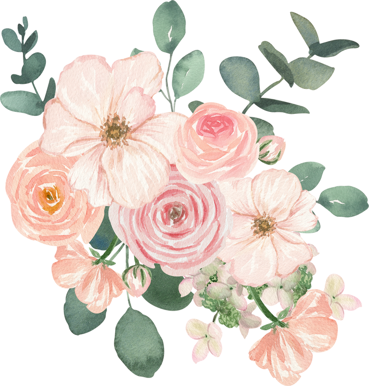 Watercolor blush pink flowers bouquet illustration
